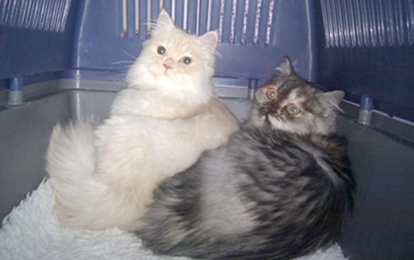 M&N