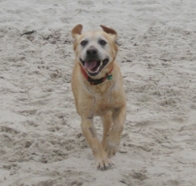 Barnaby 3