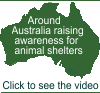 Raising awareness